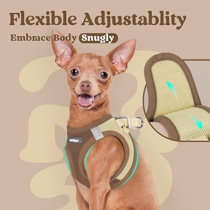rabbitgoo Step-in Small Dog Harness, Puppy Vest for Small Sized Pet | Easy Put on and off, Lightweight, Soft, Breathable Quick-Dry Air Mesh for Comfortable Secure Walking, Brown & Beige XXS - Image 6