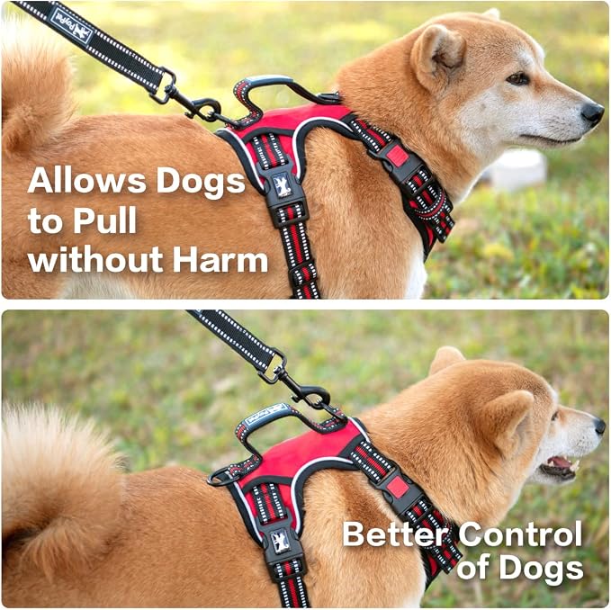 PoyPet No Pull Dog Harness with 3 Leash Clips and Vertical Handle | No Choke, Reflective, Adjustable, Soft Padded, Dog Vest for Medium Dogs, Walking Training, Red, M - Image 4