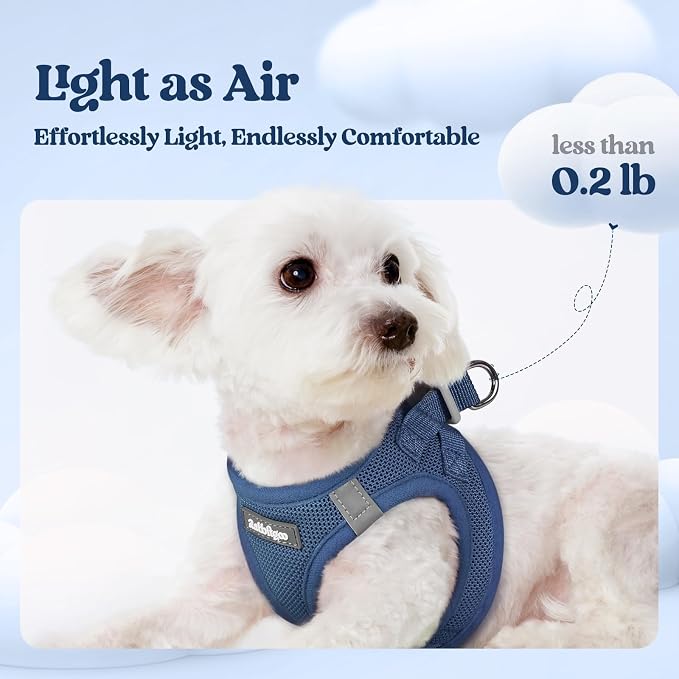 rabbitgoo Dog Harness Medium Sized and Leash Set, Step-in Puppy Pet Vest | Light, Soft, Breathable Air Mesh, Easy on and Remove with Hook & Loop, Secure Reflective for Walking, Navy Blue XXL - Image 3