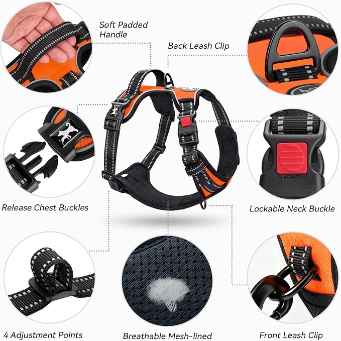 PoyPet No Pull Dog Harness Small with Front Clip & Neck Release Buckle | No Choke, Adjustable Vest, Reflective, Back Clip, Lockable, Soft Padded, Easy Control Handle for Walking Training, S, Orange - Image 8