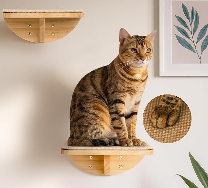4-PCS Cat Wall Shelves with Foam-Padded Bed & Sisal Steps for Indoor Cats | Cat Window Perches with Curved Bed, Flat Shelf and 2 Steps, Space-Saving Cat Climbing System & Floating Perch for Indoor Cats - Image 9