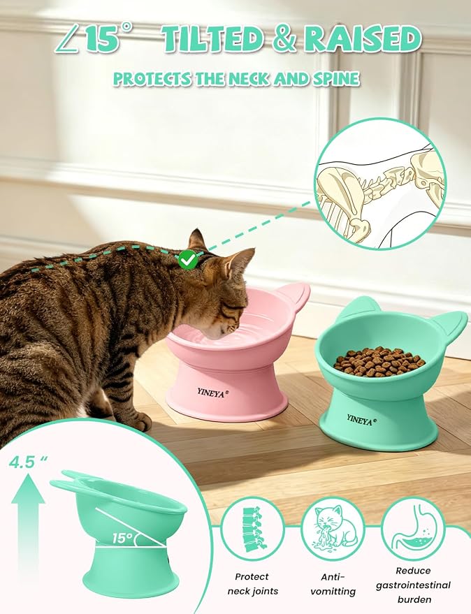 YINEYA Elevated Cat Bowls 2 Pcs, Cat Food Bowl to Protect Neck & Anti-Vomit, Whisker-Friendly Raised Food and Water Bowls Set for Indoor Cats/Small Dogs, Cute Pet Feeding Bowl 6 OZ Each, Pink & Green - Image 2