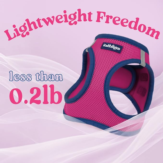 rabbitgoo Dog Harness Small Sized and Leash Set, Step in Soft Vest | Breathable Mesh, Easy Wear with Hook & Loop, Light and Reflective for Walking, Multi-colored, Rose Red & Navy Blue, XS - Image 7