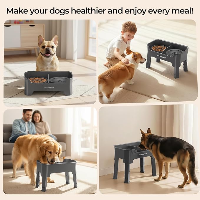 URPOWER Mess Proof Elevated Dog Bowls 4 Height Adjustable Raised Stand | No Spill Water Bowl, Slow Feeder Dog Bowls, Non-Slip Food and Water Bowl Set for Small, Medium & Large Dogs - Image 8