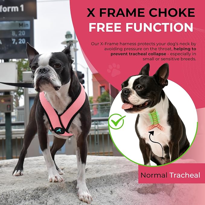 Gooby Comfort X Head-in Dog Harness, Choke-Free, Pink, Small | Patented choke-free X-frame; Secure head-in fit; Lightweight breathable mesh; Back metal D-ring; Machine washable - Image 6