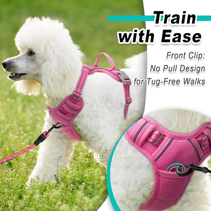 BARKBAY Dog Harness for Small Sized Dog No Pull Mesh 2 Clips Dog Vest | Control Handle,Comfort,Heavy Duty,Adjustable Reflective,Perfect for Outdoor Training, Walking,Hiking( XS,Pink Mesh) - Image 2