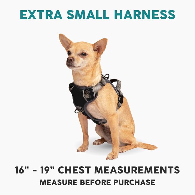 Embark No Pull Dog Harness, Reflective Adjustable Training Vest, No Choke | Adjustable straps fit all dog breeds with sturdy hooks; 360° reflective trim, soft padded Harness Design for All Dogs - Image 2
