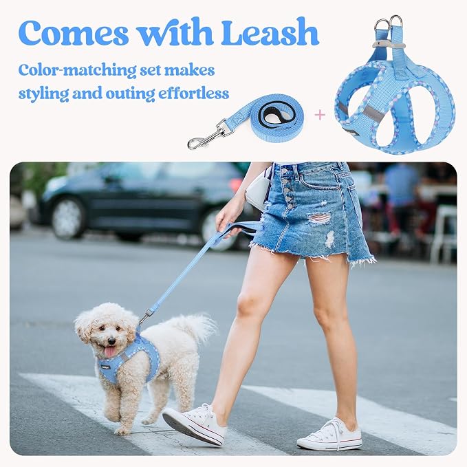 rabbitgoo Dog Harness Small Sized and Leash Set, Step-in Puppy Pet Vest | Light, Soft, Breathable Air Mesh, Easy on and Remove with Hook & Loop, Secure Reflective for Walking, Blue & Plaid Trim XXS - Image 5