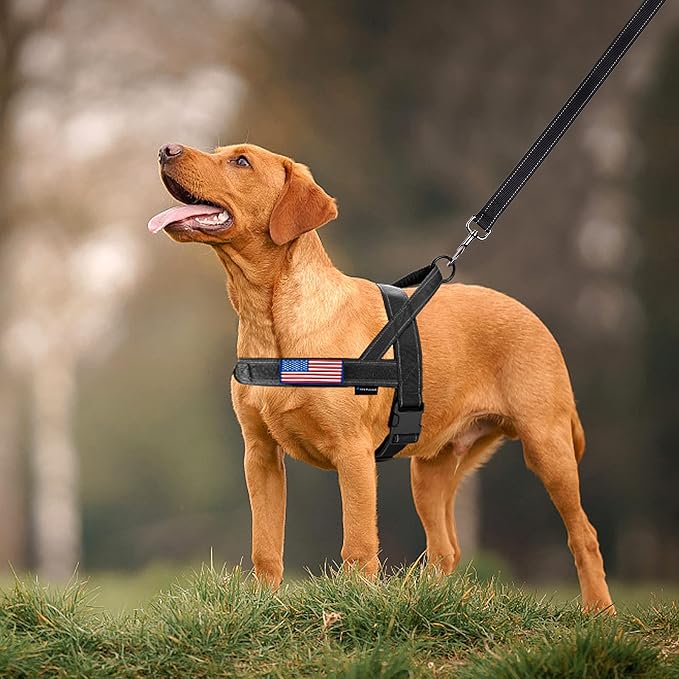 Annchwool No Pull Dog Harness with Soft Padded Handle-Reflective Strip Escape Proof and Quick Fit to Adjust Dog Harness-Easy for Training Walking for Small & Medium and Large Dogs(Black,XS,1 In Width) - Image 6