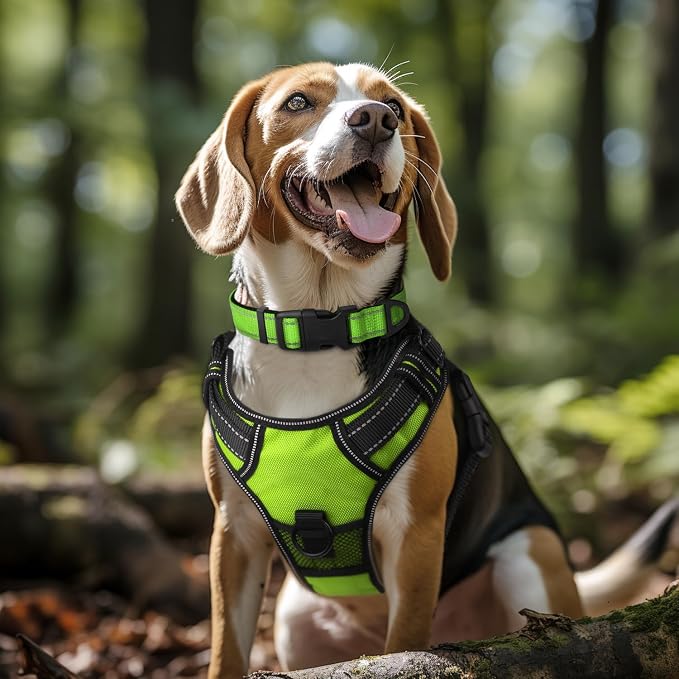 Joytale Reflective Dog Collar, Adjustable Neoprene Padded, Green XL | Breathable Nylon for Large Breeds, No Chafing on Hikes and Outdoor Use, Tear-Resistant Webbing, Metal D-Ring, Night Safety - Image 2