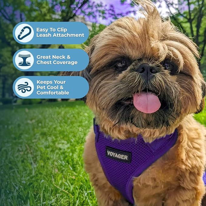 Voyager Step-in Lock Dog Harness - Purple, X-Small | 13 - 16" in Chest, Adjustable, Breathable Air Mesh, Lightweight for Daily Walks, Strong Clips, Heavy Duty D-Ring - Image 3