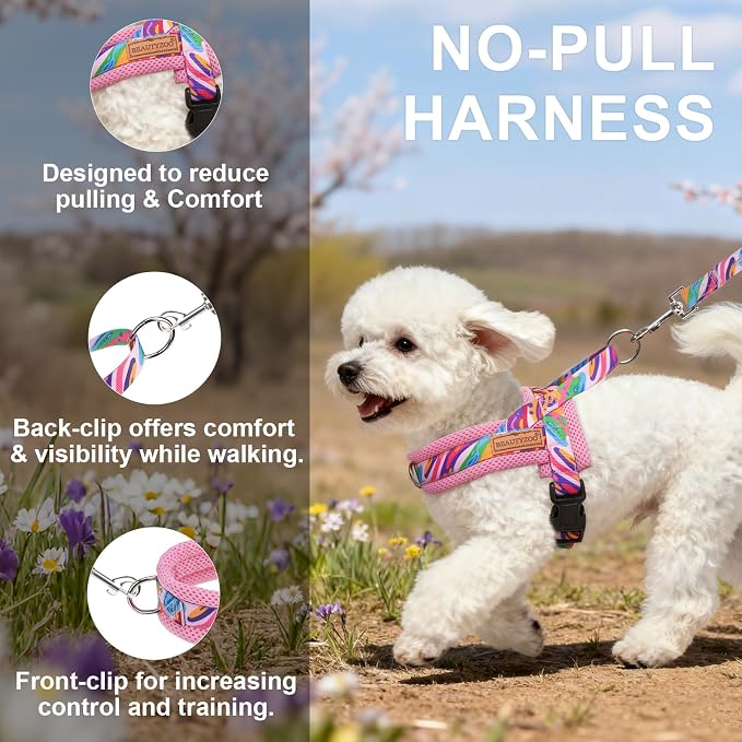 BEAUTYZOO Dog Harness for Small Dogs,No Pull Dog Harness and Leash Set,Soft Breathable Escape Proof Puppy Vest Harnessss with Handle,Lightweight Quick Fit Harness for Girl Boy Dogs Training Walking,S - Image 7