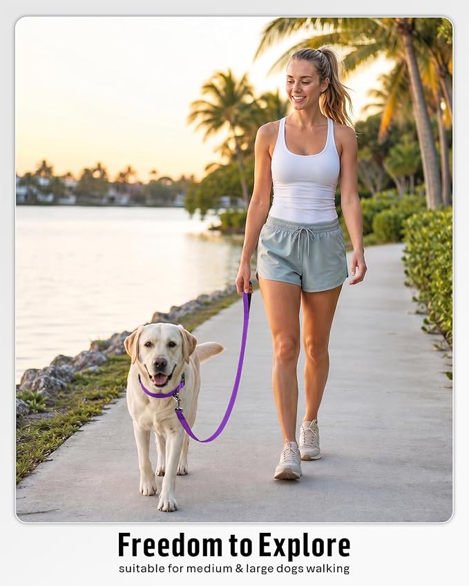FunTags Reflective Nylon Dog Leash for Medium & Large Dogs, 6FT for Walks | Comfortable Padded Grip, Stay Safe at Night, 360° Anti-Tangle Swivel, for Dog Parks & Trails, Purple - Image 5