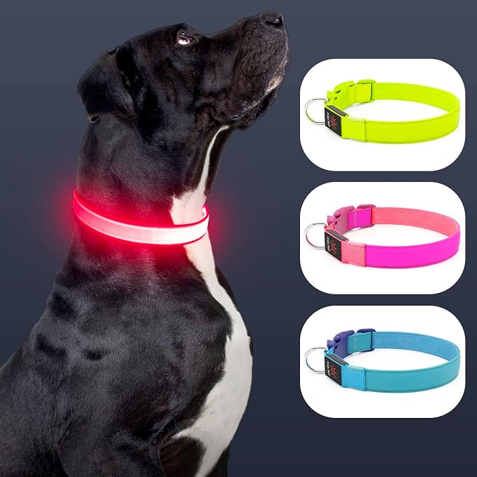 LED Dog Collar Light Up Dog Collars Red Light USB Rechargeable, Adjustable Size Heavy Duty TPU Nylon Webbing Glow Safety Basic Dog Collars for Large Medium Dogs (M,Candy Pink) - Image 2