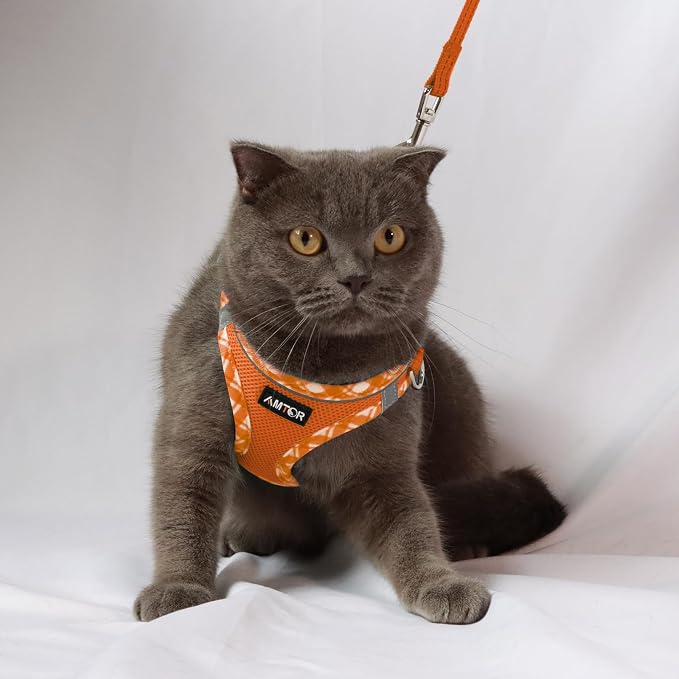 AMTOR Small Dog Harness with Leash Set, No Escape Easy Walk Puppy Harnesses for Training Walking, Step-in Reflective Soft Dogs Vest for XS S Medium Extra-Small Large Sized Dog(Orange/White,XS) - Image 5