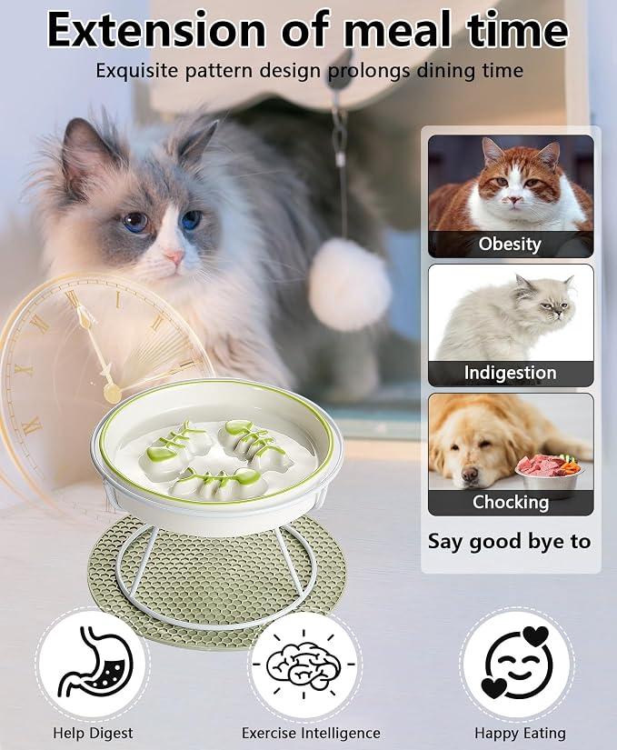 Ceramic Elevated Slow Feeder Cat Bowl, Anti Vomit, Removable Dish, Green | Removable Ceramic Bowl Elevated Anti Vomit Whisker-Friendly Wet & Dry Food Green Glazed Finish - Image 4