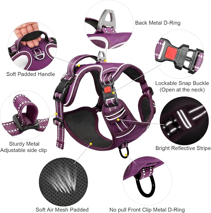 Timos Dog Harness Large Sized, Quick Release Buckles with Handle, Purple XL | Easy On & Off, No Pull No Choke, Adjustable Reflective Soft Padded, Front & Back 2 Clips and Handle for Walking Training - Image 4