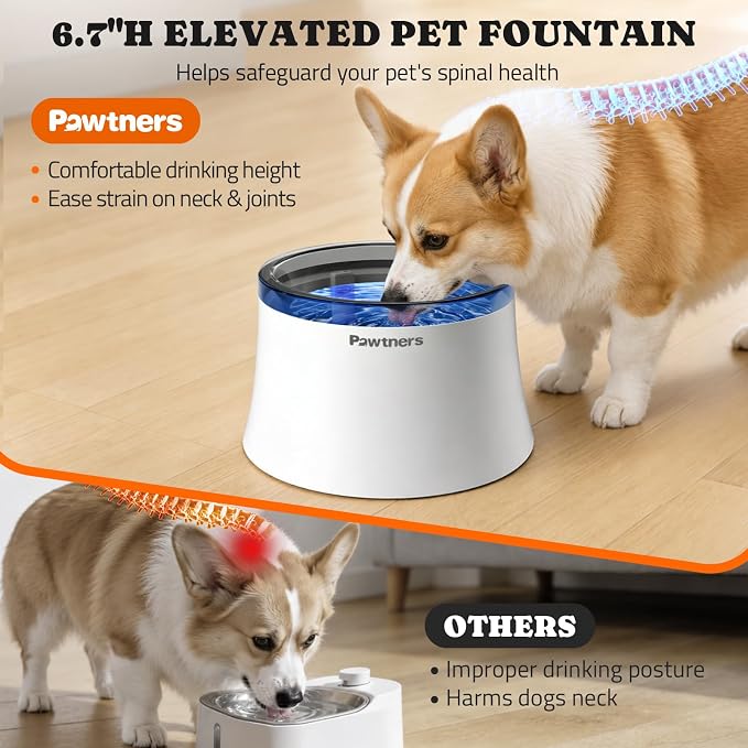 Pawtners 1 Gal/3.5L Dog Water Fountain, Automatic Dog Water Bowl Dispenser | Vortex Flow filter, Automatic Pet Water Fountain for Large Dogs Inside, Deep Drinking Area and Quiet Pump, 6.7" H - Image 2