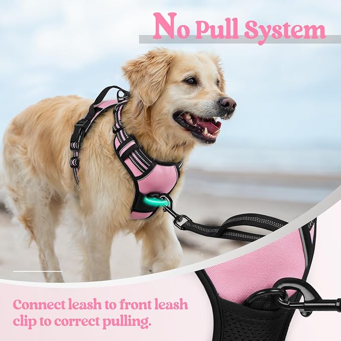 rabbitgoo Dog Harness, No Pull Medium Sized with 2 Leash Clips, Pet Vest | No Choke with Handle, Adjustable Soft Padded, Reflective, Easy Control for Walking, Pink, Medium - Image 5
