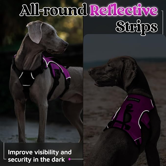 rabbitgoo Escape Proof Dog Harness for Large, No Pull with Lift Handle | No Escape, Full Soft Padded, Reflective Adjustable Vest, Leash Clip for Walking Hiking Training, Purple, Large - Image 8