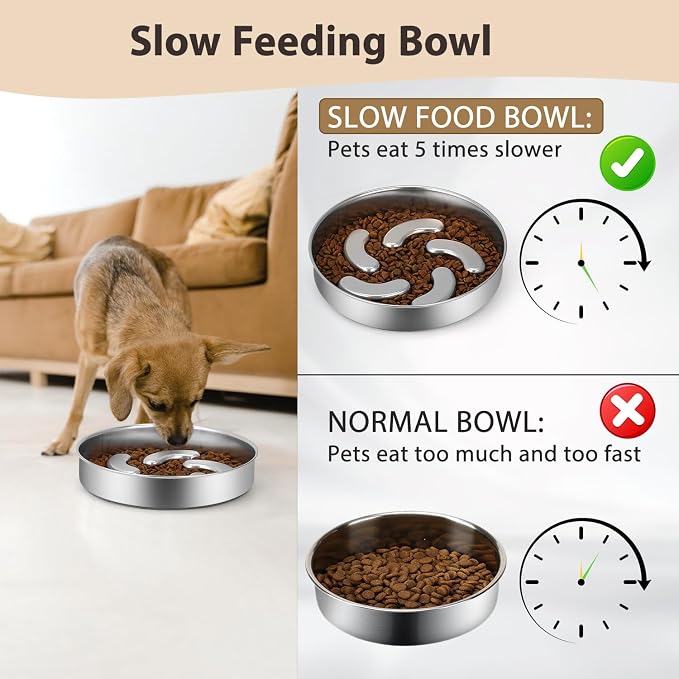 Slow Feeder Dog Bowl, 2 Cups Stainless Steel Heavy Duty Bowl Non-Slip Base | Premium Stainless Steel Material, Helps Slow Down Eating For Small, Medium And Large Breed Dogs - Image 3