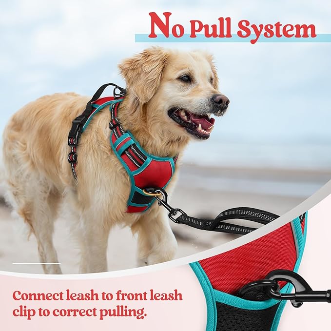 rabbitgoo Dog Harness, No Pull for Small Dogs with 2 Leash Clips, Pet Vest | No Choke with Handle, Adjustable Soft Padded, Reflective, Easy Control for Walking, Red & Teal, Small - Image 5