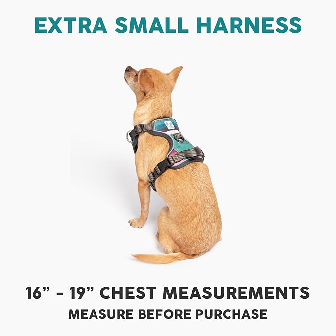 Embark No Pull Dog Harness, Reflective Adjustable Training Vest, No Choke | Adjustable straps fit all dog breeds with sturdy hooks; 360° reflective trim, soft padded Harness Design for All Dogs - Image 2
