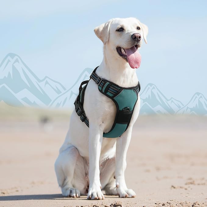Eagloo Dog Harness for Large Dogs, No Pull Pet Vest with 2 Leash Clips | No Choke with Handle, Adjustable Comfort Fit, Reflective Strips, Easy Walking Control, Dark Green, Large - Image 8