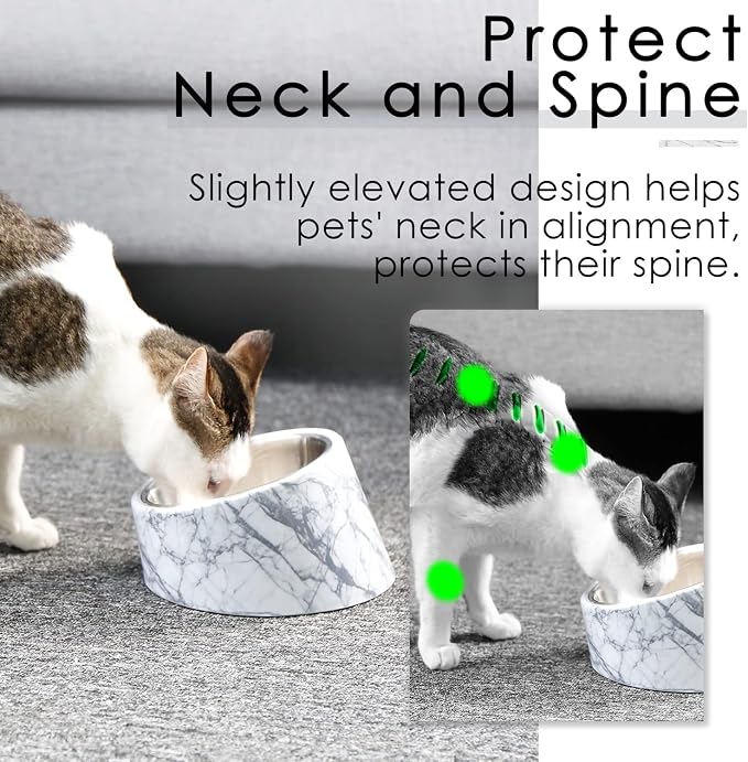 SuperDesign Mess Free 15° Slanted Bowl for Dogs and Cats, Tilted Angle Bulldog Bowl Dog Feeder, Non-Skid & Non-Spill, Easier to Reach Food S/0.5 Cup Marble Pattern - Image 3