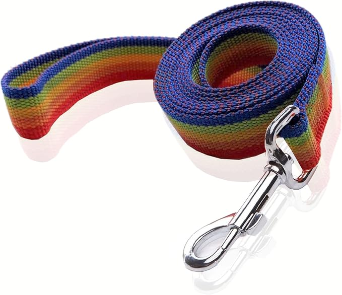 Nylon Dog Leash 4 Ft 5 Feet 6 Foot Long, Walking Training Dog Leashes for Medium Large Dogs, 1 Inch Wide (3/4" X 6 ft, Rainbow) by SALO