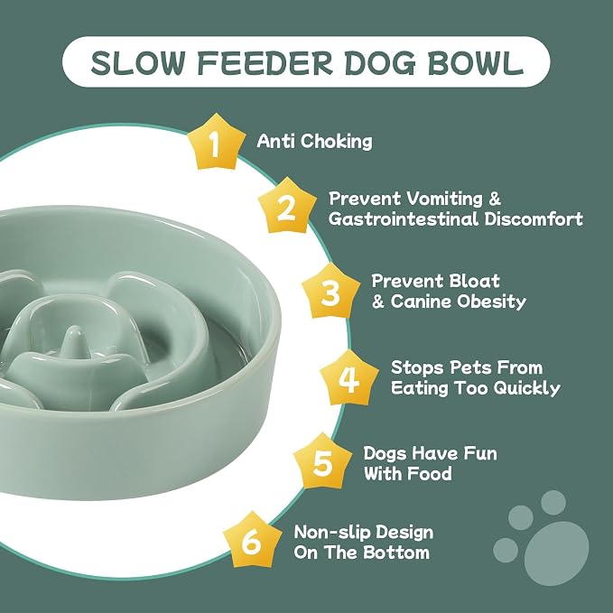 Havniva Elevated Slow Feeder Dog Bowls, Ceramic Dog Bowl Slow Feeder | 0.9 Cups Raised Slow Feeding Bowl for Small Breed, Puzzle Dog Food Bowl with Wooden Stand, Non-Slip, Anti-Choking - Image 6