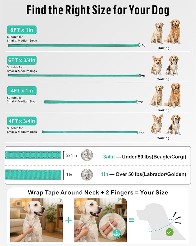 FunTags Reflective Nylon Dog Leash for Medium & Large Dogs, 4FT Training | Comfortable Padded Grip, Stay Safe at Night, 360° Anti-Tangle Swivel, for Dog Parks & Trails, Turquoise - Image 7