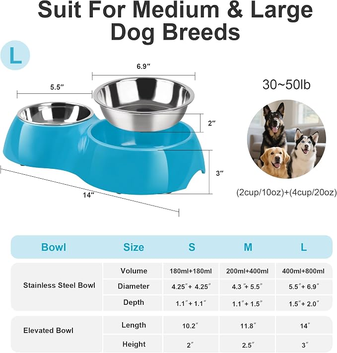 Elevated Dog Bowls Set - Non-Slip Raised Pet Feeder with Medium (2 Cups) & Large (4 Cups) Stainless Steel Bowls - Includes Durable Resin Stand for Puppies, Adult Dogs & Cats - Blue - Image 2