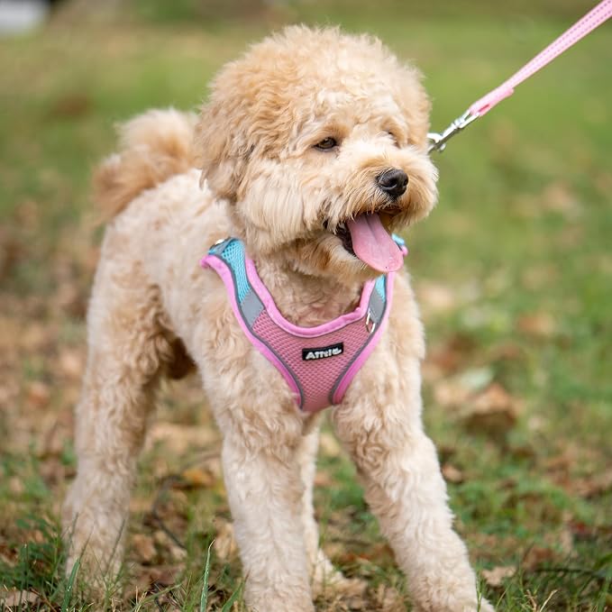 AIITLE Medium Dog Harness and Leash Set, Step-in Puppy Pet Vest, Pink L | Light, Soft, Breathable Air Mesh, Escape-Proof, Easy on and Remove with Hook & Loop, Secure Reflective for Walking - Image 2