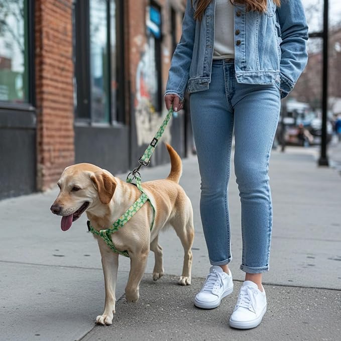 Dog Harness Leash Set Adjustable Heavy Duty No Pull Halter Harnesses for Small Medium Large Breed Dogs Back Clip Anti-Twist Perfect for Walking - Image 3