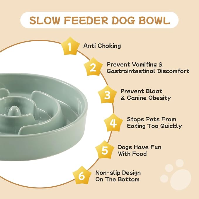 Havniva Elevated Slow Feeder Dog Bowls, Ceramic Dog Bowl Slow Feeder Set | 0.9 Cups Raised Slow Feeder Dog Bowl for Small Breed, 6.1” Dog Water Bowl with Wooden Stand, Puzzle Dog Food Bowl, Non-slip - Image 6
