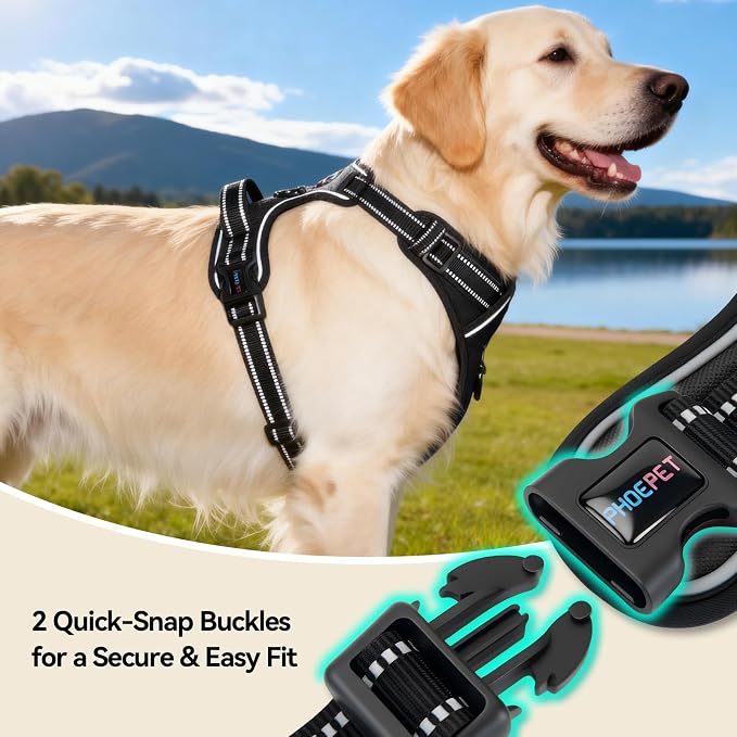 No Pull Dog Harnesses for Small Puppies Reflective Adjustable | Front Clip Vest with 2 Metal Leash Attachment Hooks Soft Handle (S, Black) - Image 6