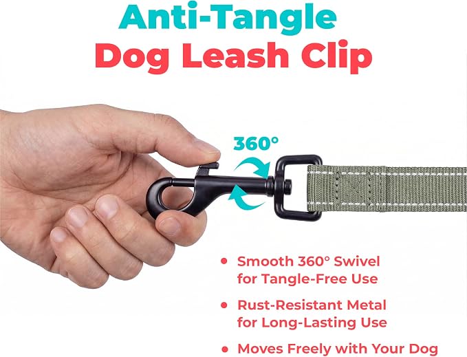 Best Pet Supplies Voyager Nylon Dog Leash - Moss Green, Medium | 5ft in Length, 3/4" in Width, Reflective, Soft Neoprene Handle, Heavy Duty Metal Clips for Running, Walking & Training - Image 7