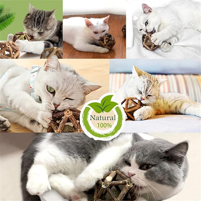 Gochanmon Catnip Toys-2Pcs Natural Silvervine Stick Catnip Ball&Bell Ball-Cat Toys for Indoor Cats- Cleaning Teeth Molar Tools Matatabi Cat Chew Toy-Kitten Toys All Breeds - Image 7