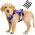 WINSEE Escape Proof Dog Harness with Double Handle+4 Removable Patches | Service Working Molle Harness with Double Handle for Small Dogs, Tactical Pet Reflective Vest for Walking Hiking Hunting by WINSEE