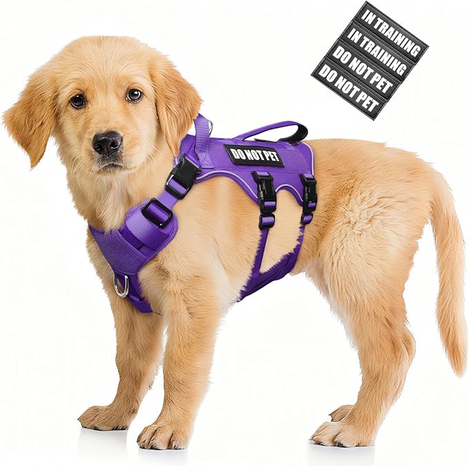 WINSEE Escape Proof Dog Harness with Double Handle+4 Removable Patches | Service Working Molle Harness with Double Handle for Small Dogs, Tactical Pet Reflective Vest for Walking Hiking Hunting by WINSEE