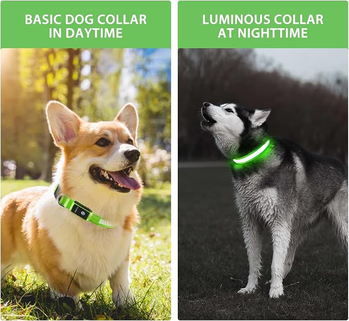 PcEoTllar Light up Dog Collar, Safe for Night Walking, Adjustable, Green, S | Colorful RGB Light, Waterproof, For Small Medium and Large Dogs, Durable Material, USB to Charge - Image 2