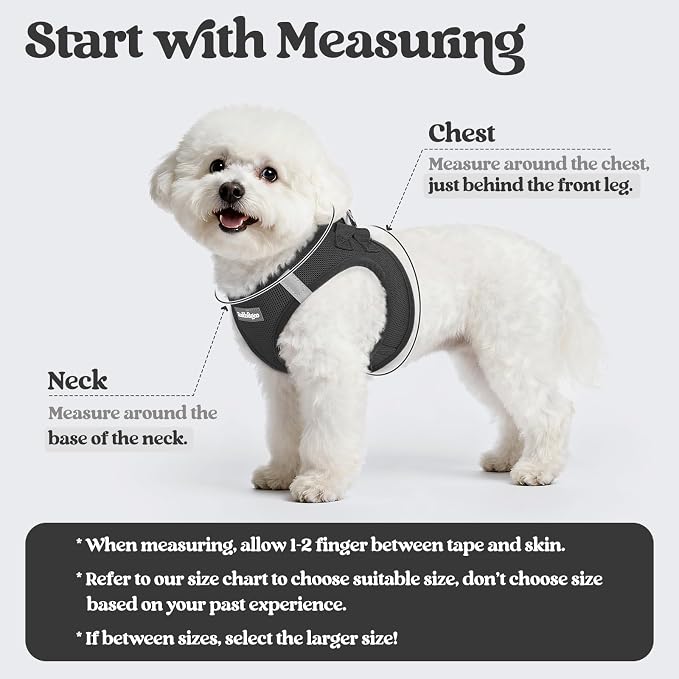 rabbitgoo Dog Harness Small Sized and Leash Set, Step-in Puppy Pet Vest | Light, Soft, Breathable Air Mesh, Easy on and Remove with Hook & Loop, Secure Reflective for Walking, Black XXS - Image 2