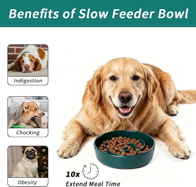 Slow Feeder Dog Bowls Small Breed, 0.6 Cup Ceramic, Non-Slip | Heavy Ceramic For Indoor Feeding, Stable Base Helps Limit Sliding, Puzzle Bowl For Small Breed Dogs - Image 5