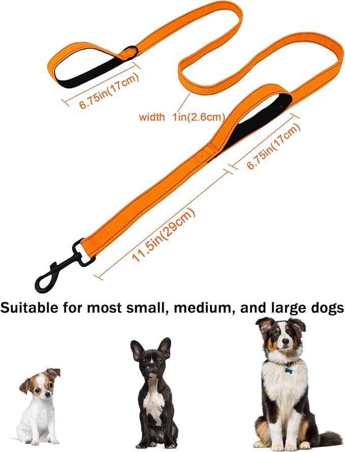Solmoony 6FT Orange Strong Dog Leash with 2 Padded Handles, Traffic Handle Extra Control, Double-Sided Reflective Walking Lead for Small Medium and Large Dog (Orange, 6FT) - Image 5
