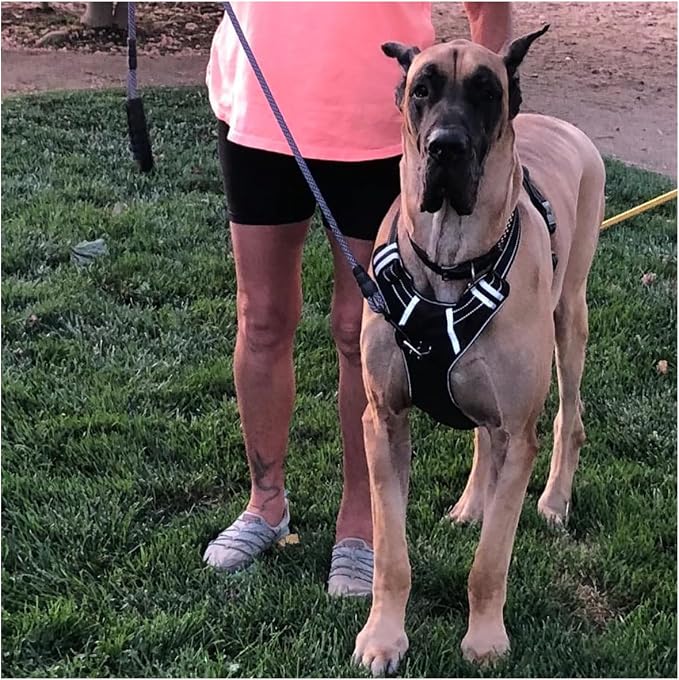 MayPaw Heavy Duty Rope Dog Leash, 6/8/10FT Nylon Pet Leash, Soft Padded Handle Thick Lead Leashes for Large Medium Dogs Walking Roaming (6ft * 1/2", Purple Black) - Image 7