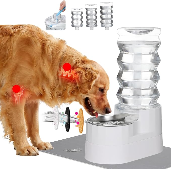RIZZARI 8L Elevated Dog Water Dispenser: Senior Pets Filtered Hydration | Raised Stand Helps Reduce Neck Strain/Stainless Steel Bowl/Quiet Gravity-Fed Operation/for Multi-Pet Homes by RIZZARI