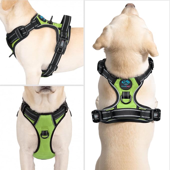 Reflective Dog Harness No Pull Large Breed Vest | with 2 Metal Leash Attachment Hooks(XL, Green) - Image 2