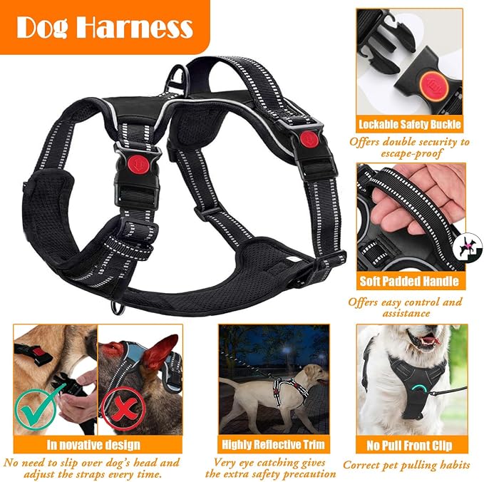 LOBEVE No Pull Dog Harness, Collar & Leash Set with Travel Accessories | Includes Dog Seat Belt, Collapsible Bowls & Poop Bag Dispenser. Ideal for Training, Walking, Hiking. Fits Small to Large Dogs - Image 4
