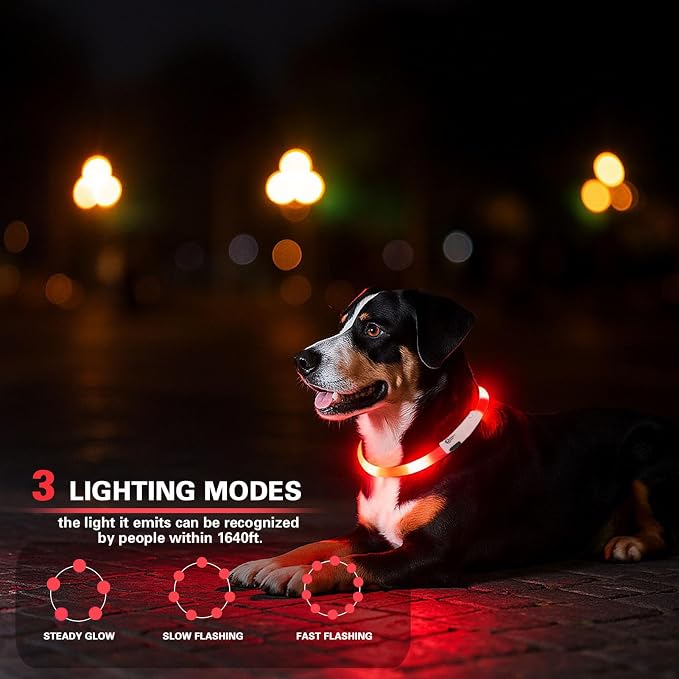 Light Up Dog Collar, Rechargeable Glowing Dog Collar, Light Dog Collar for Night Walking with 1640 FT of Visibility - Brightest LED Dog Collar Light, 3 Flashing Modes, Keeps Your Pets Safe in The Dark - Image 4